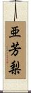 亜芳梨 Scroll