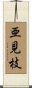 亜見枝 Scroll