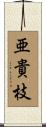 亜貴枝 Scroll