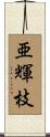 亜輝枝 Scroll