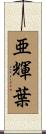 亜輝葉 Scroll