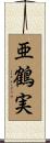 亜鶴実 Scroll