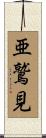 亜鷲見 Scroll