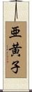 亜黄子 Scroll