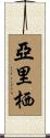 亞里栖 Scroll