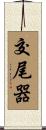 交尾器 Scroll