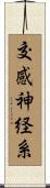 交感神経系 Scroll