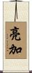亮加 Scroll
