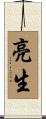 亮生 Scroll