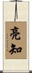 亮知 Scroll
