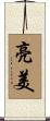 亮美 Scroll