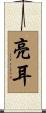亮耳 Scroll