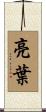 亮葉 Scroll
