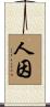 人因 Scroll