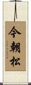 今朝松 Scroll