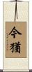 今猶 Scroll