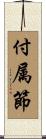 付属節 Scroll