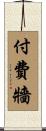 付費牆 Scroll