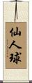 仙人球 Scroll