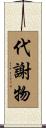 代謝物 Scroll
