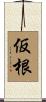 仮根 Scroll