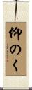 仰のく Scroll