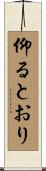 仰るとおり Scroll