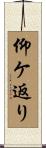仰ケ返り Scroll