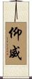 仰威 Scroll