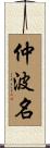 仲波名 Scroll