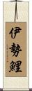 伊勢鯉 Scroll
