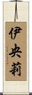 伊央莉 Scroll