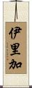伊里加 Scroll