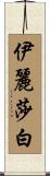 Eleizabeth Scroll