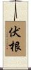 伏根 Scroll