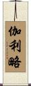 伽利略 Scroll