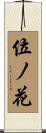 位ノ花 Scroll