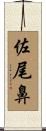 佐尾鼻 Scroll
