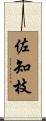 佐知枝 Scroll