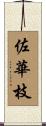 佐華枝 Scroll