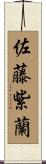 佐藤紫蘭 Scroll