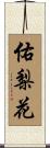 佑梨花 Scroll