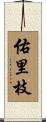 佑里枝 Scroll