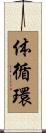 体循環 Scroll