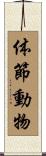 体節動物 Scroll