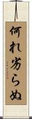 何れ劣らぬ Scroll