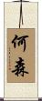 何森 Scroll
