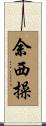 余西操 Scroll