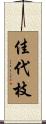 佳代枝 Scroll