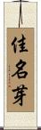 佳名芽 Scroll